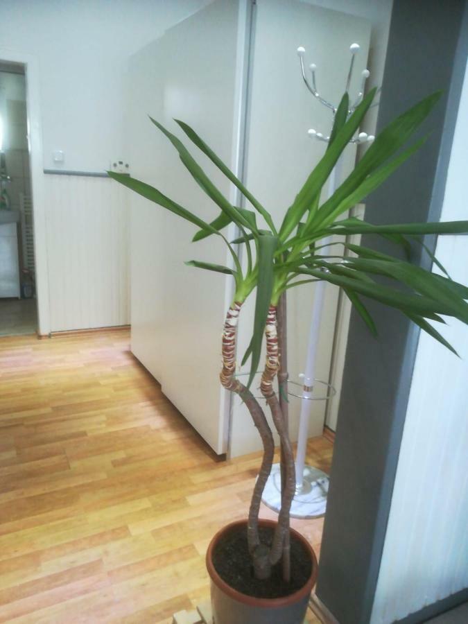 Zentral Gelegene Wohnung In Velbert-Mitte Buitenkant foto